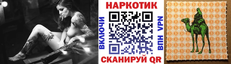 Наркошоп купить Кокаин  Метамфетамин  ГАШ  Каннабис  Мефедрон  Динская