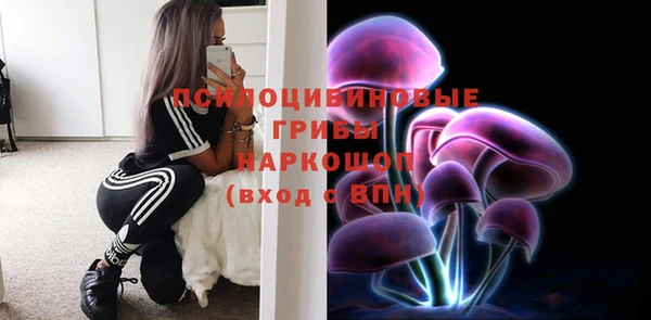 стафф Медногорск