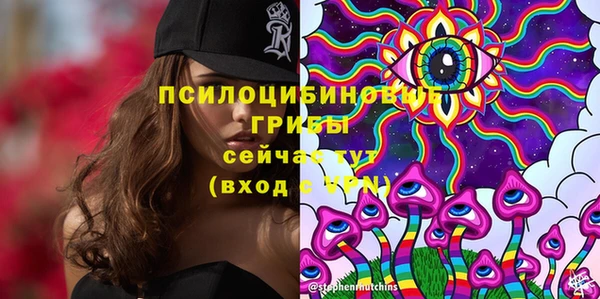 стафф Медногорск