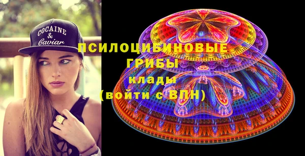 стафф Медногорск