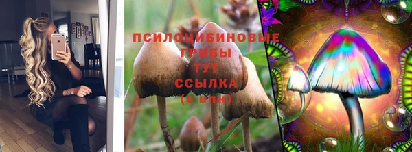 а пвп мука Мегион