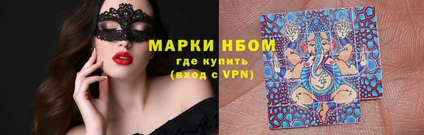 стафф Медногорск