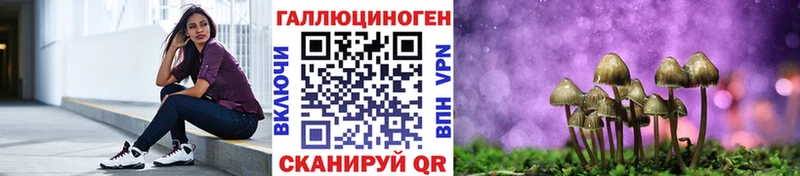 Галлюциногенные грибы Cubensis  Купить  Динская 